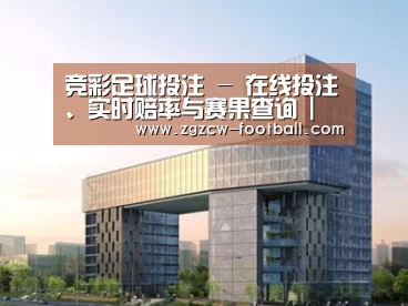 案例展示四